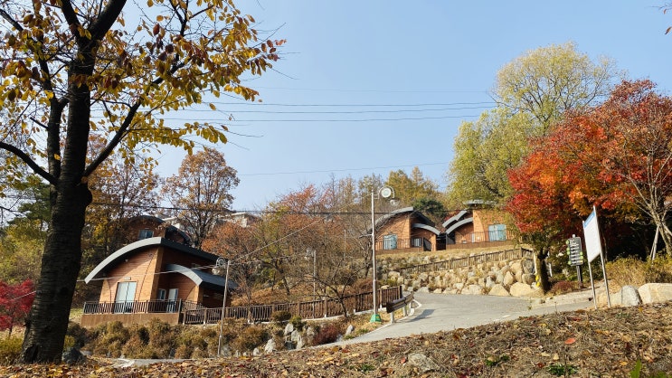  _ 좋았당~근 양평 숙소 휴양림 경기 백암 용문산자연휴양림 _