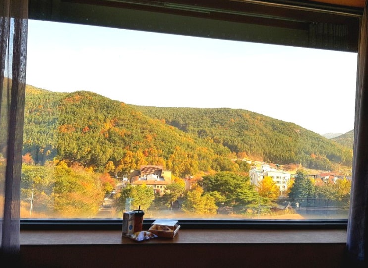  울산 울주 가볼만한 드메르호텔 후기 / 셀프 바리스타 카페