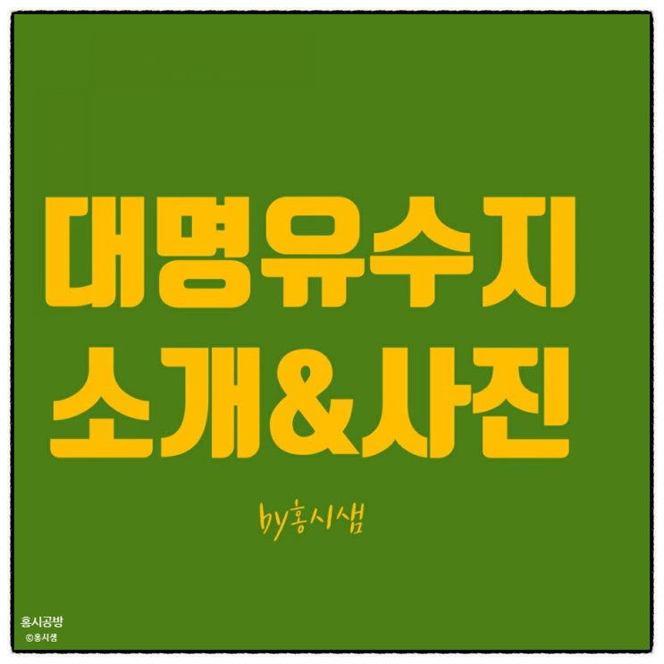  대구 달성습지 대명유수지 억새-사진 찍기/산책하기 좋은 곳