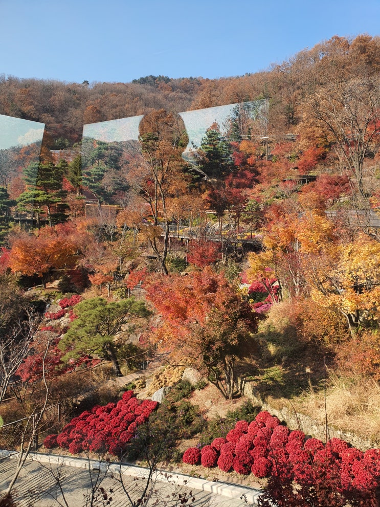  곤지암 화담숲 평일