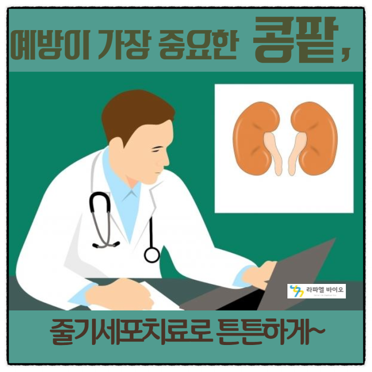  [신장]예방이 가장 중요한 콩팥, 줄기세포치료를 위해 지금 보관하세요.