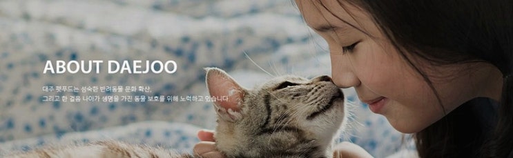  세종시 이전으로 대주산업 급등! 재벌투자연구소 선견지명 대박!