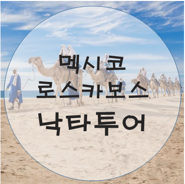  [허니문 2일차] 로스카보스 - 낙타투어 즐기기