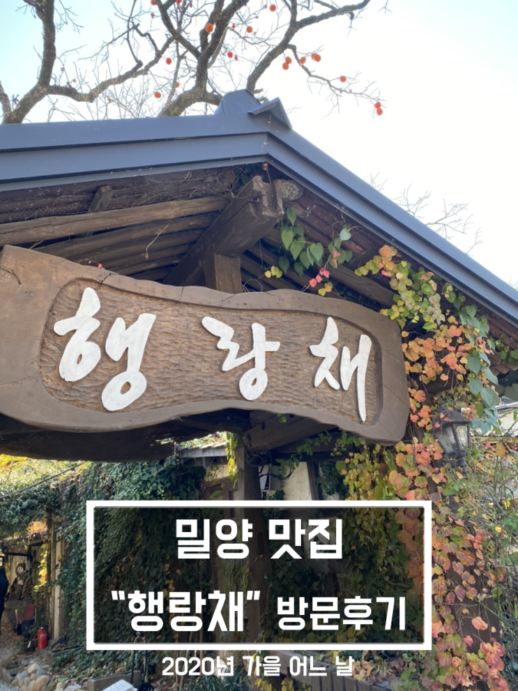  [맛집 리뷰] 분위기있는 밀양 산채비빔밥 맛집 행랑채