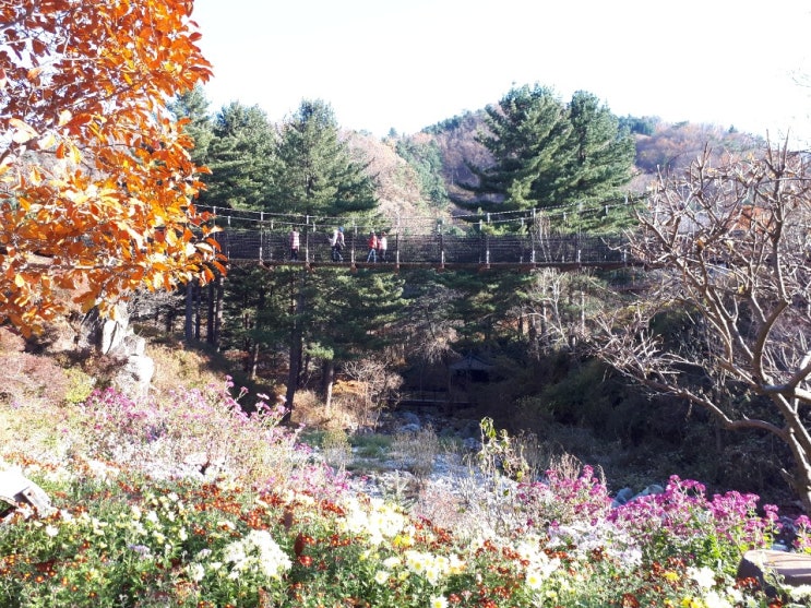 가평수목원, 아침고요수목원에서 힐링하고 왔어요.