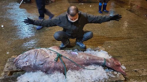 3년만에 출현한 270만원 심해어 돗돔, 일본에서는 초대왕갈치-"지진의 전조"