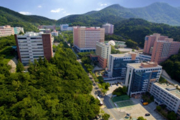 동의대 정시등급 [2020 동의대학교 정시수능등급 /백분위/추가합격순위]