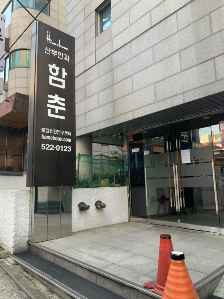  [임신일기] 임신 11주 태아 목투명대 6밀리이상, 융모막검사하고 왔어요. (서초함춘여성의원)