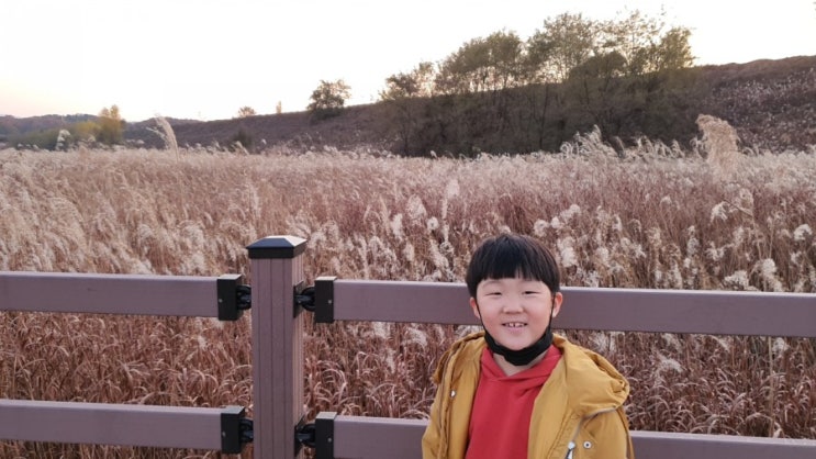 멋진 갈대밭을 볼 수있는 대구 대명유수지(feat.계명대성서캠퍼스 달성습지생태학습관)