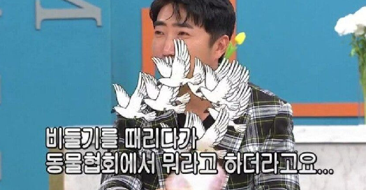 폰둘기 때문에 신고당한 장동민 폰둘기 때문에 신고당한 장동민