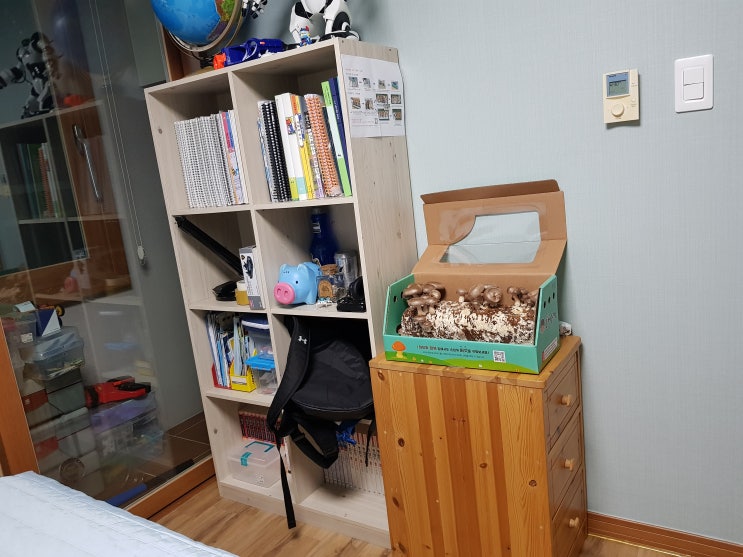  아이버섯키트를 소개합니다.