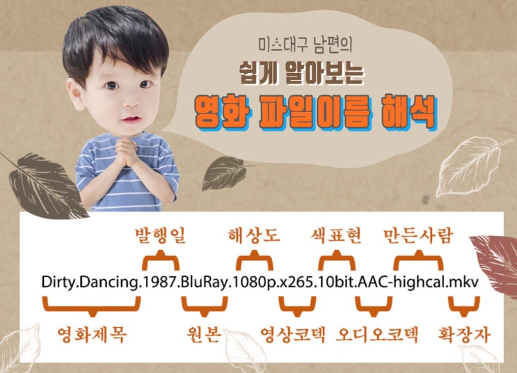  토렌트 영화 파일명으로 영상 화질을 알 수 있을까요?