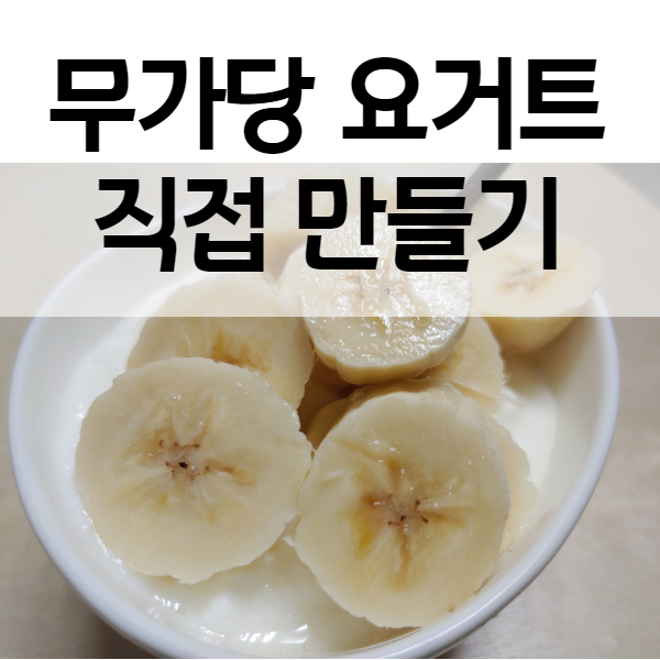 요구르트제조기로 아침간편식 다이어트 야식으로 좋은 무가당 요거트 직접 만들기 (요이쿡 요거트메이커 한달사용기)