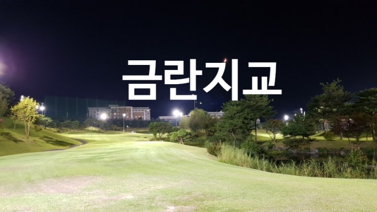  금란지교