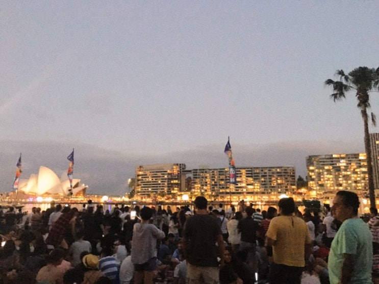 [해외인턴일기#2] 시드니의 12월 31일, 불꽃축제에서 느낀 호주사람들의 시민의식