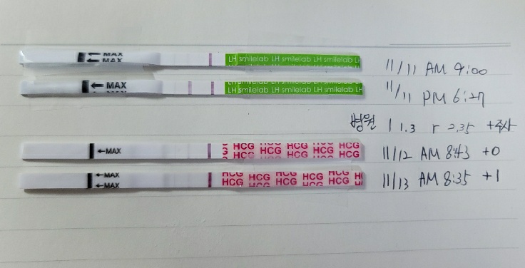  다섯번째 시도, 임신 2주 1일 차 : 이거슨... 임신이다!