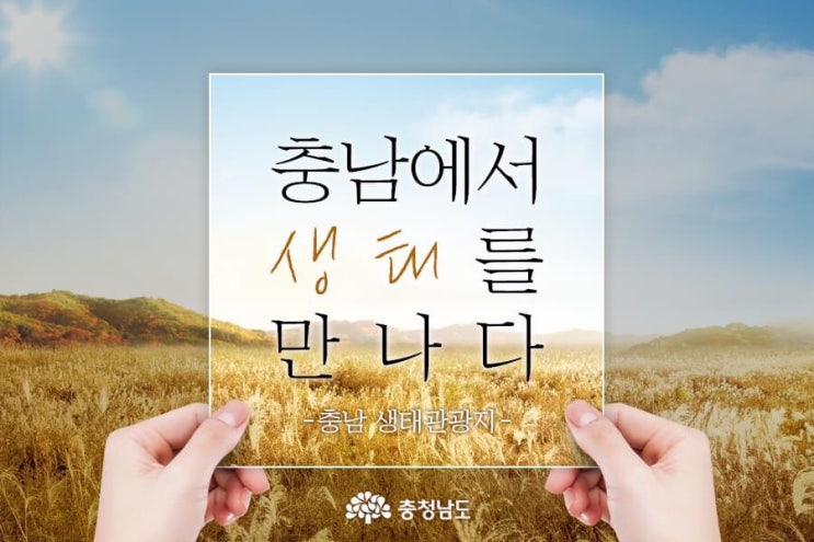 충남에서 생태를 만나다 | 충남도청페이스북