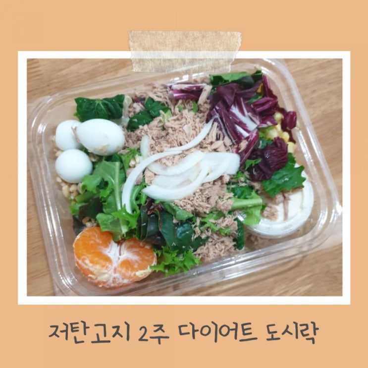 저탄고지 식단 채식단 2주 다이어트 도시락(자연식물식 다이어트보다 현실적) 저탄고지 식단 채식단 2주 다이어트 도시락(자연식물식 다이어트보다 현실적)