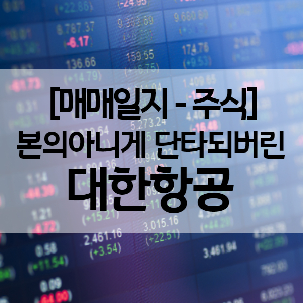  [주식 매매일지] 대한항공 주가 시세 상승으로 본의아니게 일주일 단타 (수익률 24.16%)