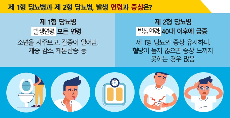 당뇨병 1형 당뇨병 2형 당뇨병 증상의 치료 당뇨병의 유형과 인슐린과 혈당