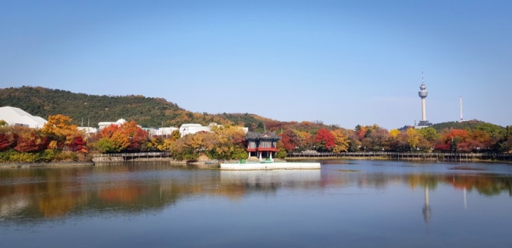  대구 명소 데이트코스, 성당못(대구문화예술회관, 금용사)