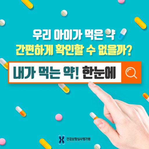 내가 먹는 약 한눈에 약정보 서비스 건강보험심사평가원 내가 먹는 약 한눈에 약정보 서비스 건강보험심사평가원