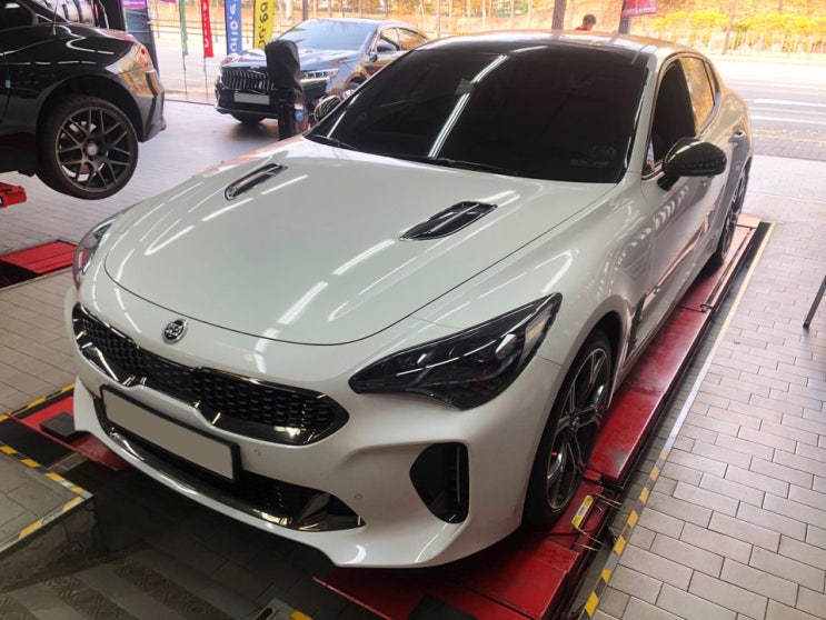  스팅어 사계절 타이어 금호 마제스티9 교체 225/40R19, 255/35R19 타이어테크 안산 사동점