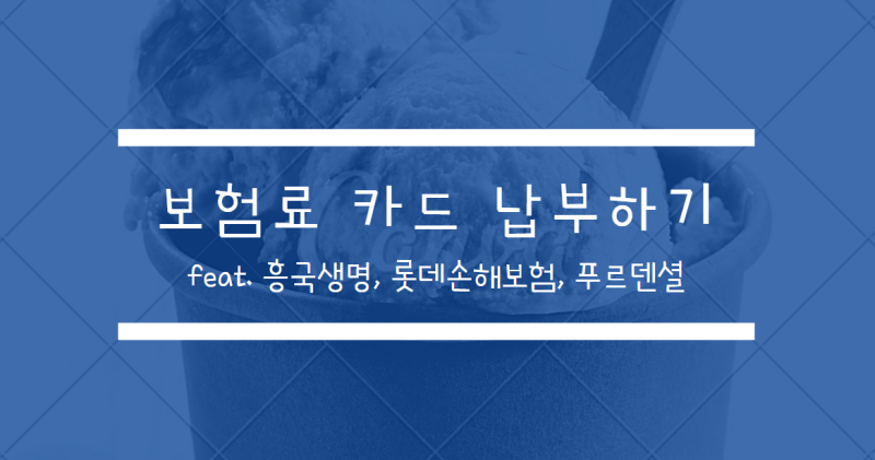 보험료 카드 납부하는 방법(feat.롯데손해보험, 흥국화제)