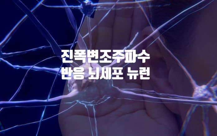 진폭 변조 주파수에 반응하는 뇌세포 진폭 변조 주파수에 반응하는 뇌세포