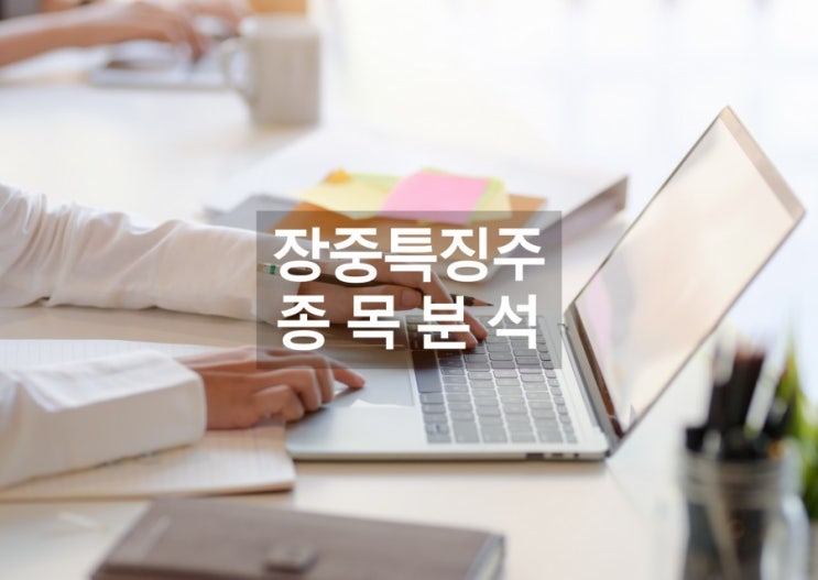  11월13일 장중 특징주 [추천주 관심주 종목추천 관련주] 신고가갱신