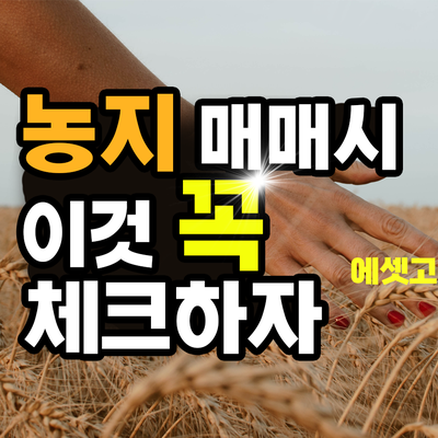  김포 싼 농지 매매 시 덥석 사면 안 되는 이유