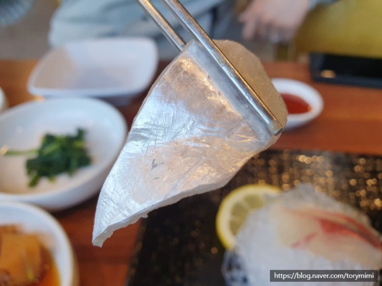  제주 갈치/고등어 회부터 조림까지 한번에 맛본 제주 맛집 착한집