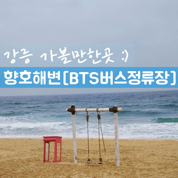  강릉 가볼만한곳 :) 향호해변 [BTS버스정류장]