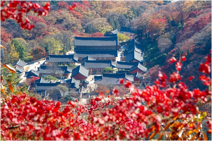  백양사