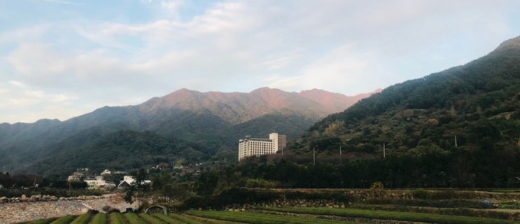  하동여행(2) 하동 켄싱턴 리조트(하동 숙소 추천, 알고보니 조식맛집)