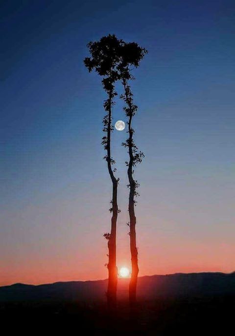 독일 사진사가 찍은 &lt;해와 달이 같이 떠있는 하늘&gt;