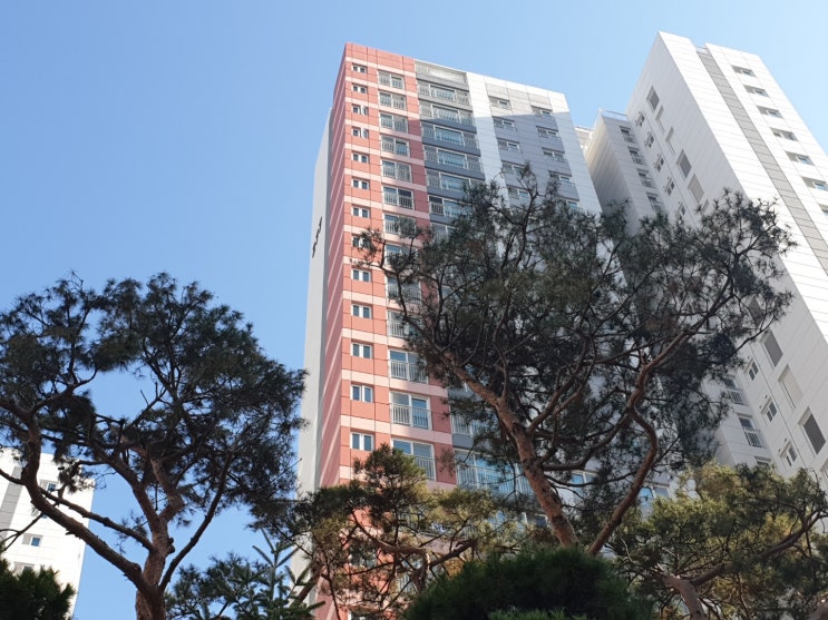  버팀목 전세자금대출 주택도시기금 자격, 금리, 한도 쉽게 알아보기