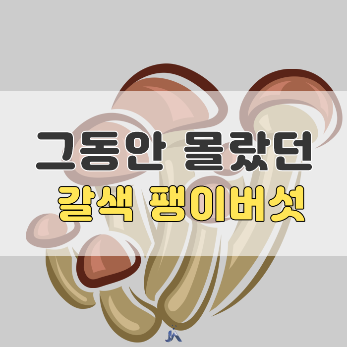  갈색 팽이버섯 효능과 진실