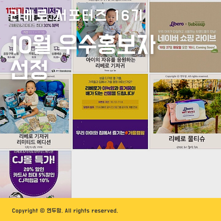 리베로 서포터즈 16기 10월 우수홍보자 선정 리베로 서포터즈 16기 10월 우수홍보자 선정