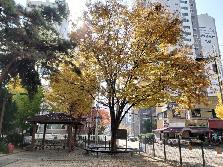  사춘기 아들과 초겨울 산책, 사춘기 아들에게 관심 갖기