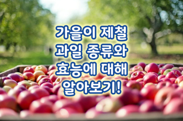  가을이 제철인 과일 종류와 효능에 대해 알아보기!