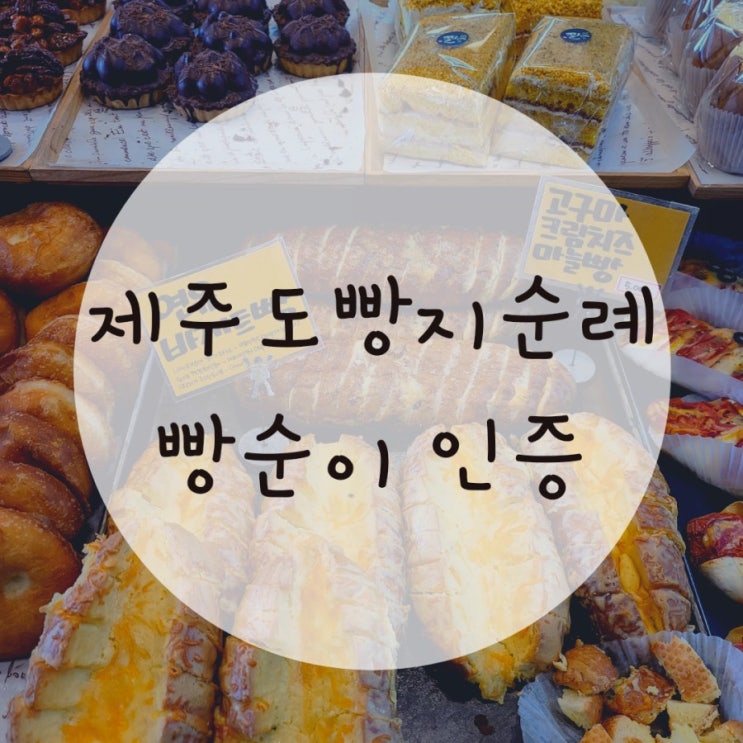 제주도빵맛집추천 다먹음 앙뚜아네뜨 제일성심당 보룡제과