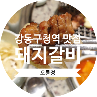 [강동구청역 맛집] 성내동고기집 오륜정 담백하고 깔끔한 돼지갈비
