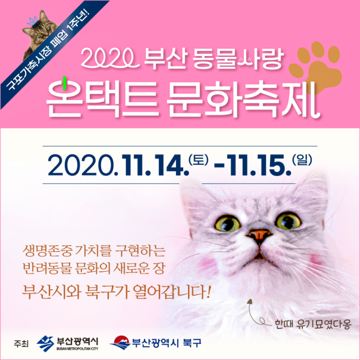  2020 부산 동물사랑 온택트 문화축제(11.14~15)