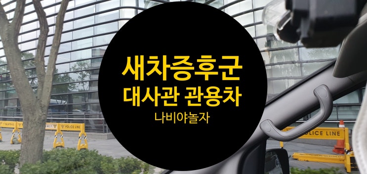  대사관 관용차 새차증후군 가죽 냄새 빼기 전문가는 역시~ / 나비야놀자