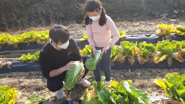  아이와 함께 가기 좋은 농촌체험 - 경기 안성 인처골 마을