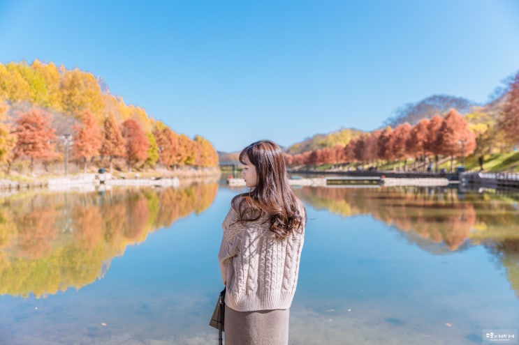  담양 관방제림 알록달록 단풍