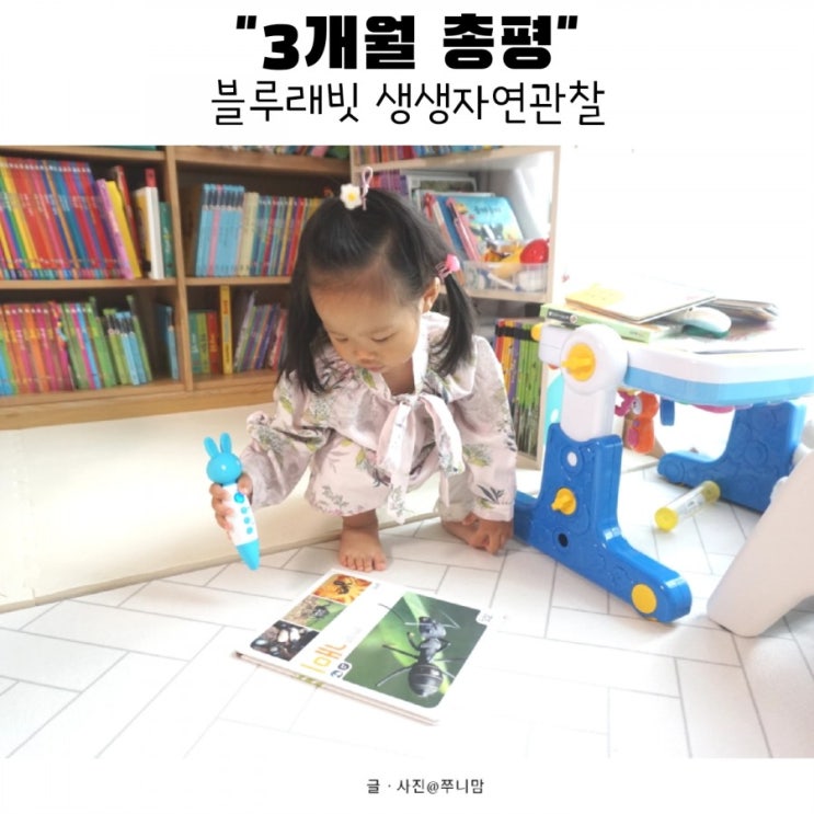  자연에 관심없던 15개월 아기의 변화, 블루래빗 생생자연관찰