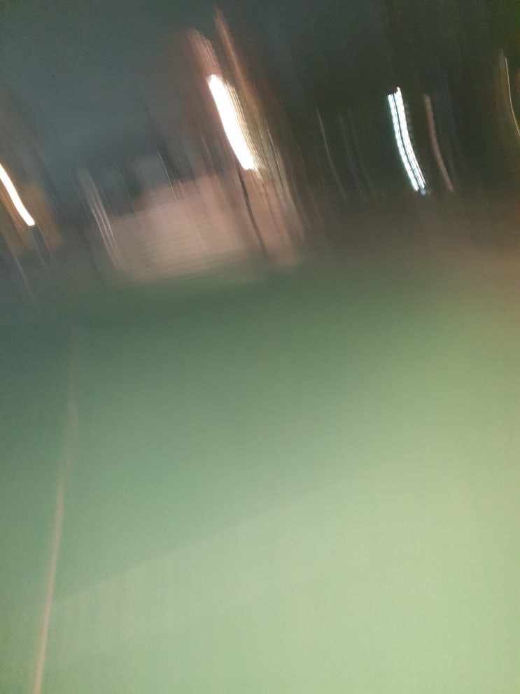  파키스탄 파리잡는 법