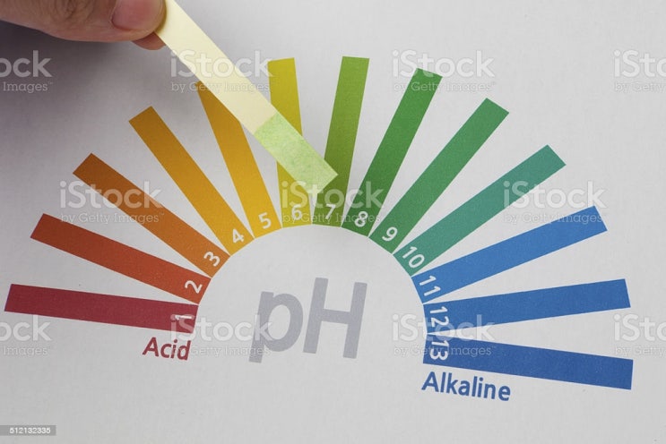 [REPORT] pH 측정 방법, pH meter 사용법. (수소 이온 농도 지수)